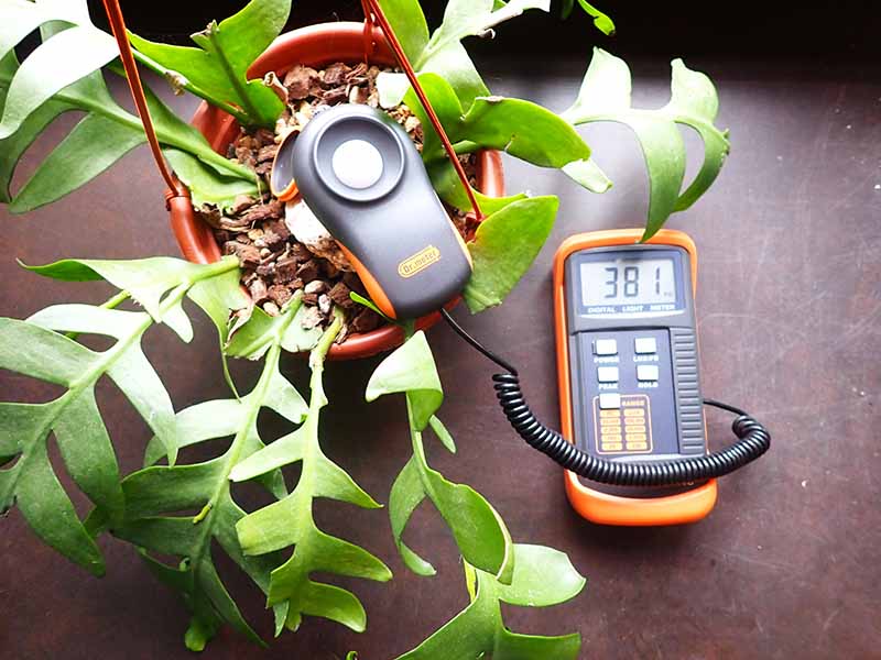 Measure Light Intensity Measure Light Intensity