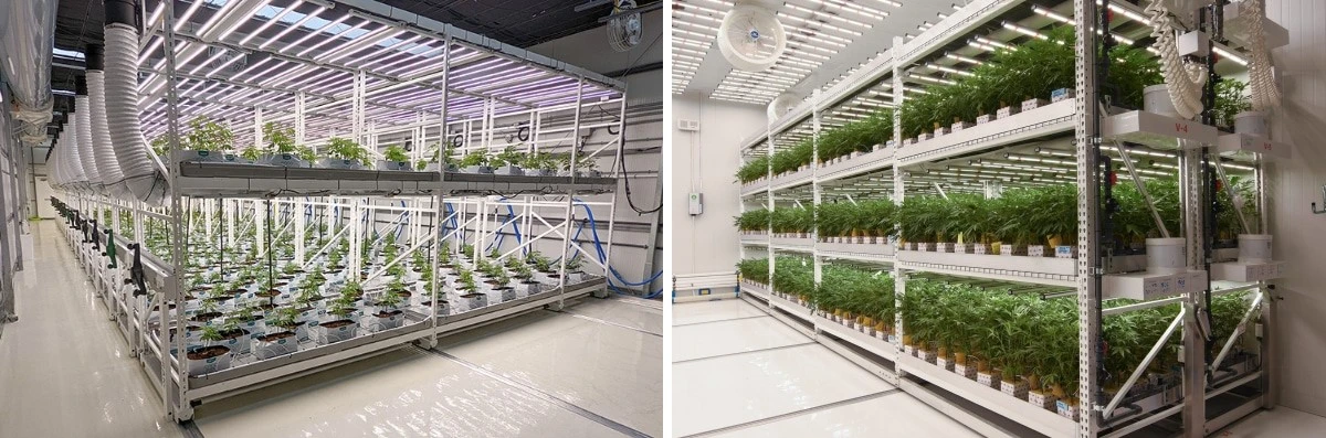 Multi-layer vertical grow racks 3
