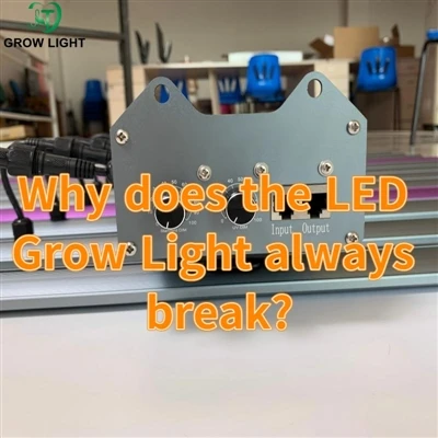 لماذا ينكسر ضوء النمو LED دائمًا؟