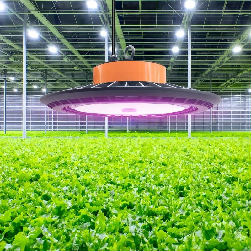 UFO LED Grow Light for Plant